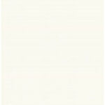 REVESTIMENTO 32X60 TRADIZIONALE BIANCO RETIFICADO ESMALTADO A CX2,30 BIANCOGRES