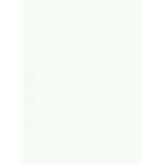 REVESTIMENTO 33X61 BRANCO 52019 A PEI 3 CX2,60 PEGASUS